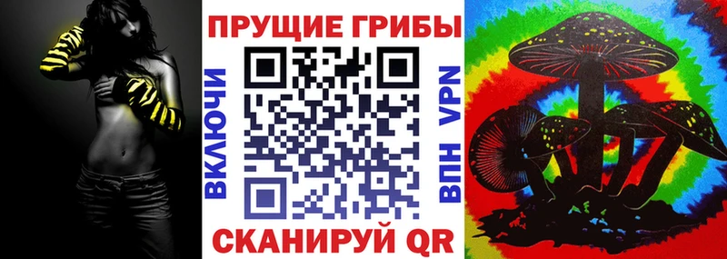 Псилоцибиновые грибы MAGIC MUSHROOMS  закладка  Почеп 