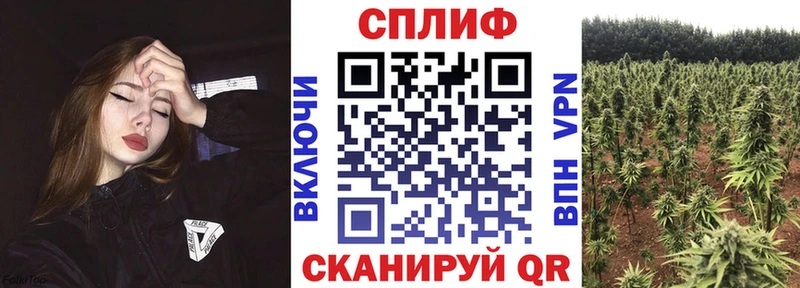 Шишки марихуана планчик  Почеп 